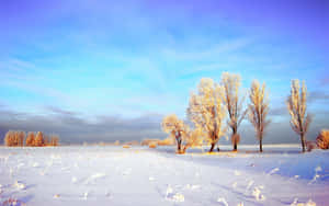 Majestic Snowy Landscape Wallpaper