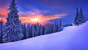 Majestic Snowy Landscape At Sunrise Wallpaper