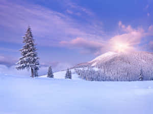 Majestic Snowy Landscape Wallpaper