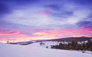 Majestic Snowy Landscape Wallpaper