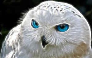 Majestic Snowy Owl In Natural Habitat. Wallpaper