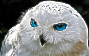 Majestic Snowy Owl In Natural Habitat. Wallpaper