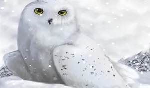 Majestic Snowy Owl Perched On A Winter Branch Wallpaper