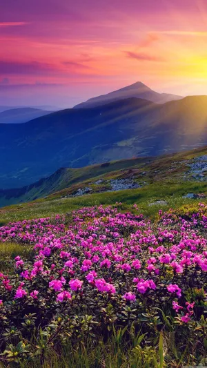 Majestic Spring Mountain Landscape Wallpaper