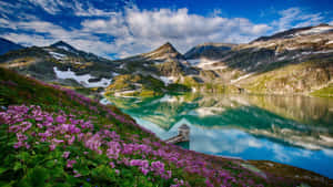 Majestic Spring Mountain Scenery Wallpaper