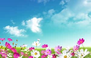 Majestic Spring Sky Wallpaper