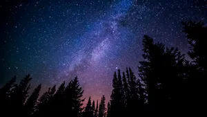 Majestic Starlit Sky Wallpaper