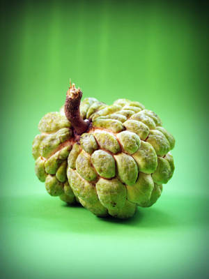 Majestic Sugar Apple Fruit Wallpaper