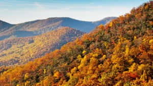 Majestic Sunrise Over The Blue Ridge Mountains Wallpaper