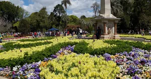 Majestic Sunrise Over Toowoomba Landscape Wallpaper