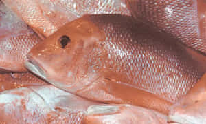 Majestic Sunset Over Mountain Range Wallpaper