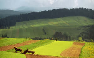 Majestic Sunset Over Rural Landscape Wallpaper