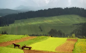 Majestic Sunset Over Rural Landscape Wallpaper