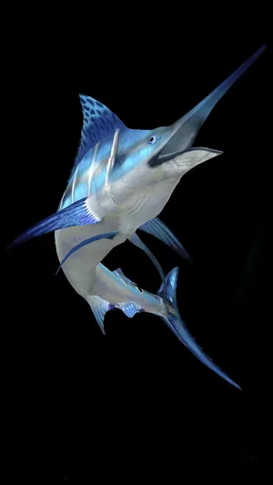 Majestic Swordfishin Deep Sea Wallpaper
