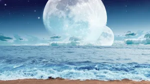 Majestic Underwater World Wallpaper