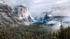 Majestic View Of A Geysers In Yellowstone National Park Wallpaper