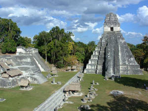 Majestic View Of Ancient Tikal Wallpaper