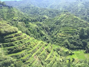 Majestic View Of Banaue Rice Terraces Wallpaper