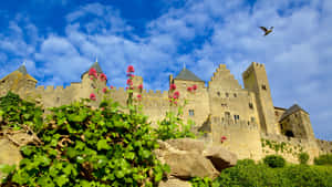 Majestic View Of Cité De Carcassonne, France Wallpaper