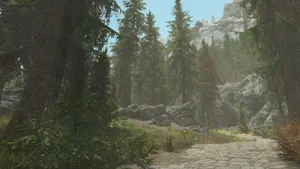 Majestic View Of Falkreath In Skyrim Wallpaper