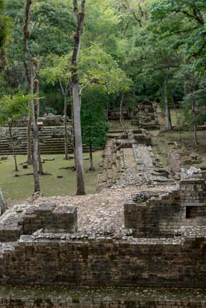 Majestic View Of Mayan Ruins Of Copan Wallpaper