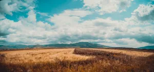 Majestic View Of Mount Ararat At Sunrise Wallpaper