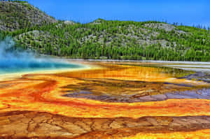 Majestic Views Of Yellowstone National Park Wallpaper