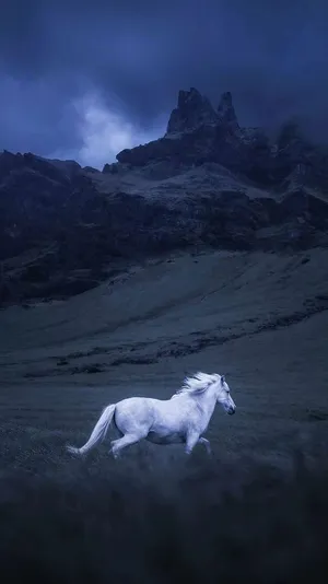 Majestic_ White_ Horse_in_ Twilight_ Mountain_ Scene.jpg Wallpaper