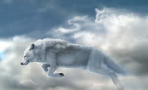 Majestic White Wolf In A Snowy Forest Wallpaper