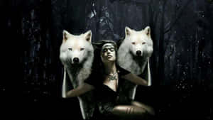 Majestic White Wolf In Snowy Wilderness Wallpaper