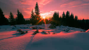 Majestic Winter Sun Shining Over Snow-capped Landscape Wallpaper