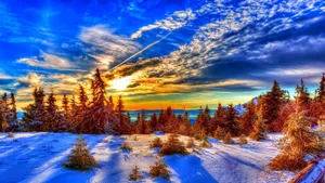 Majestic Winter Sun Shining Through Snow-covered Trees Wallpaper