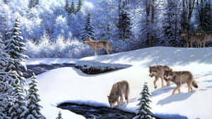 Majestic Winter Wolf In Snowy Forest Wallpaper