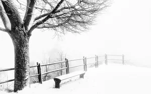 Majestic Winter Wonderland Wallpaper