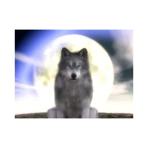 Majestic Wolf Basking In Moonlight Wallpaper