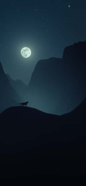 Majestic Wolf Bathed In Moonlight Wallpaper