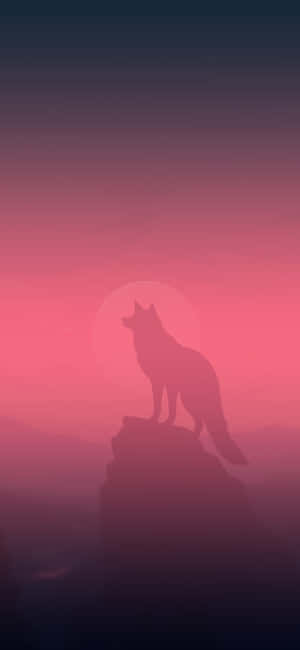 Majestic Wolf In A Serene Sunset Wallpaper