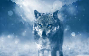 Majestic Wolf In A Snowy Winter Landscape Wallpaper