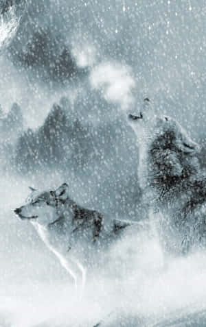 Majestic Wolf In Snowy Landscape Wallpaper