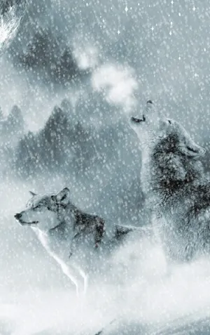 Majestic Wolf In Snowy Landscape Wallpaper