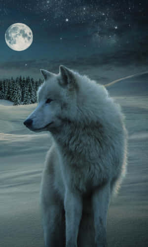 Majestic Wolf In Snowy Winter Landscape Wallpaper