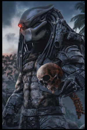 Majestic Wolf Predator In An Enigmatic Forest Wallpaper