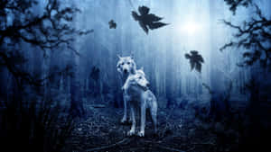 Majestic Wolf Roaming The Tranquil Forest Wallpaper