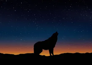 Majestic Wolf Silhouette Against A Moonlit Sky Wallpaper