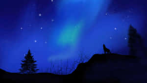 Majestic Wolf Silhouette Against A Starry Night Sky Wallpaper