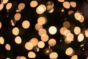 Make Christmas Brighter With These Beautiful Lights! Wallpaper