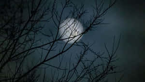 Make Every Moment Of Your Night Magical With Moon Lighting Wallpaper