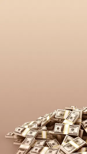 Make Good Investment Decisions With A Money Bag Wallpaper