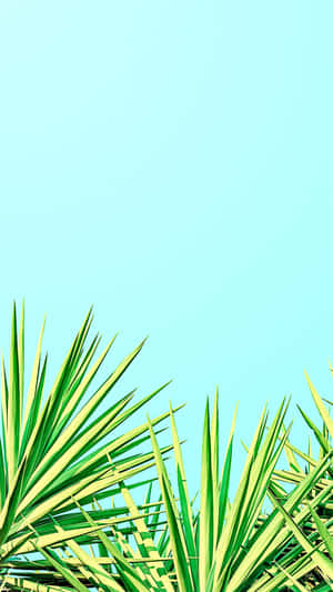 Make The Most Of Summer With Your Own Fun And Stylish Iphone! Wallpaper