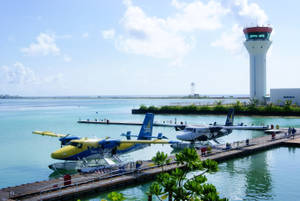 Maldives Trans Maldivian Airways Wallpaper